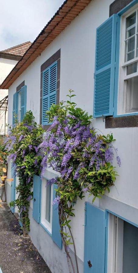 Vila Casa Da Madalena Do Mar Exteriér fotografie